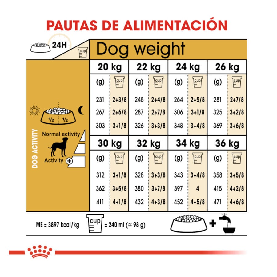 12 kg Royal Canin Adult D&aacute;lmata pienso para perros, , large Imagen numero 8