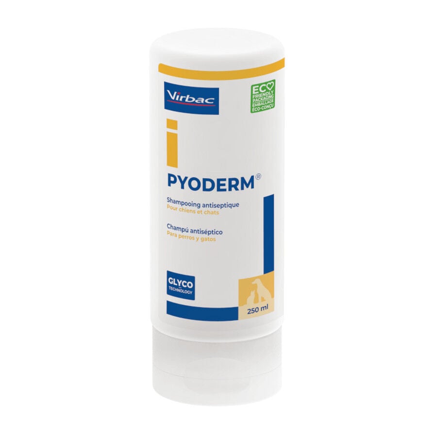 250 ml Virbac Pyoderm Champ&uacute; Antis&eacute;ptico Dermatol&oacute;gico para perros, , large indicador imagen numero 1
