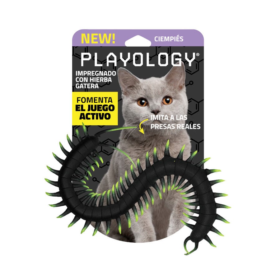 Playology Ciempi&eacute;s de Pl&aacute;stico para gatos, , large indicador imagen numero 4