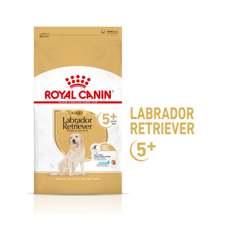 12 kg Royal Canin Adult 5+ Labrador pienso para perros, , large indicador imagen numero 2