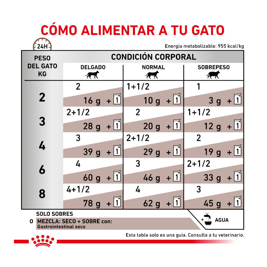 12 sobres x 85 g Royal Canin Veterinary Gastrointestinal sobre en salsa para gatos, , large indicador imagen numero 7