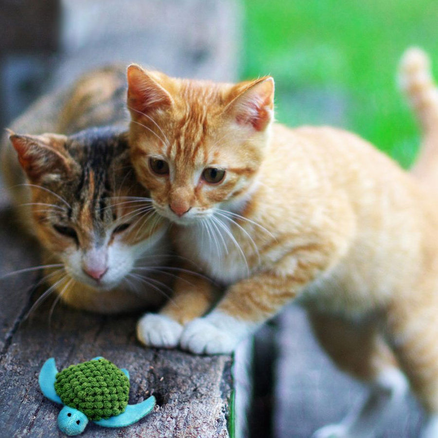 Kong Tortuga Recargable de Juguete para gatos, , large indicador imagen numero 2