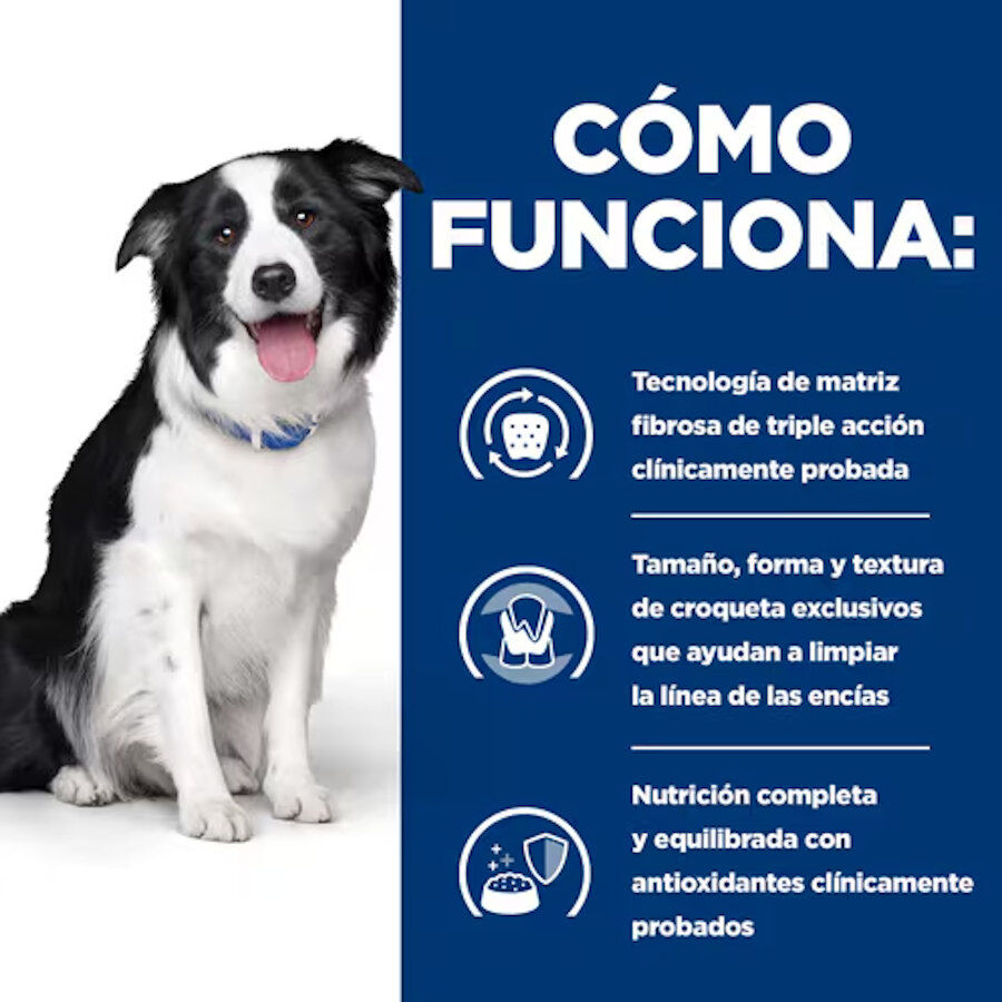 10 kg Hill's Prescription Diet t/d Dental Care Pollo pienso para perros medianos, , large indicador imagen numero 5