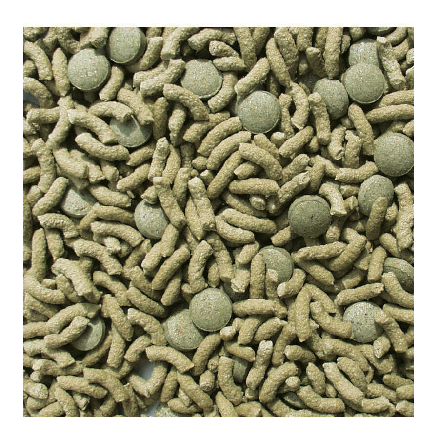 Sera Raffy Vital Comida para reptiles herb&iacute;voros, , large Imagen numero 2