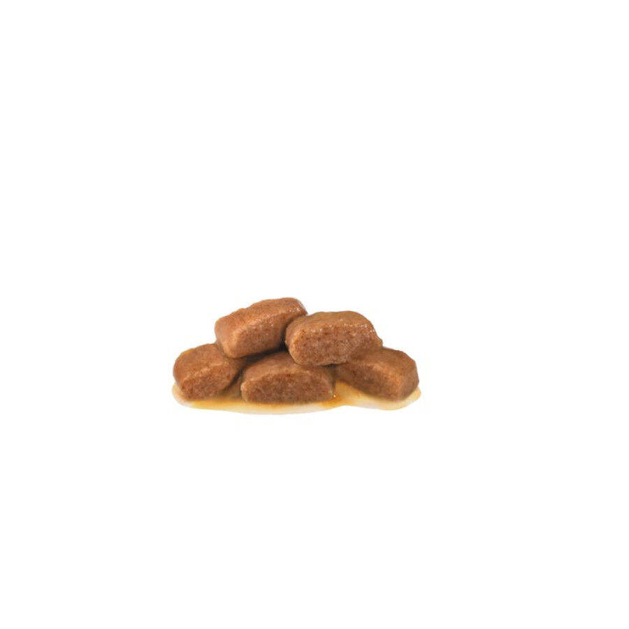 12 sobres x 85 g Royal Canin Veterinary Gastrointestinal sobre en salsa para gatos, , large Imagen numero 3