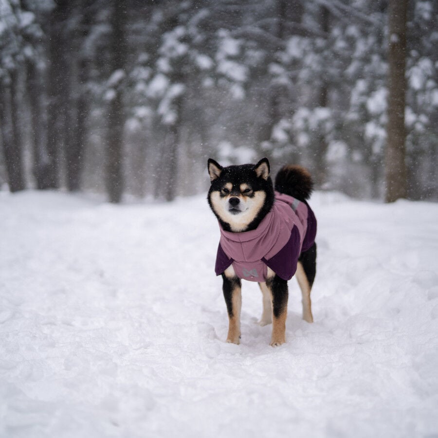 Non-stop Dogwear Chaqueta Malva para perros, , large indicador imagen numero 2