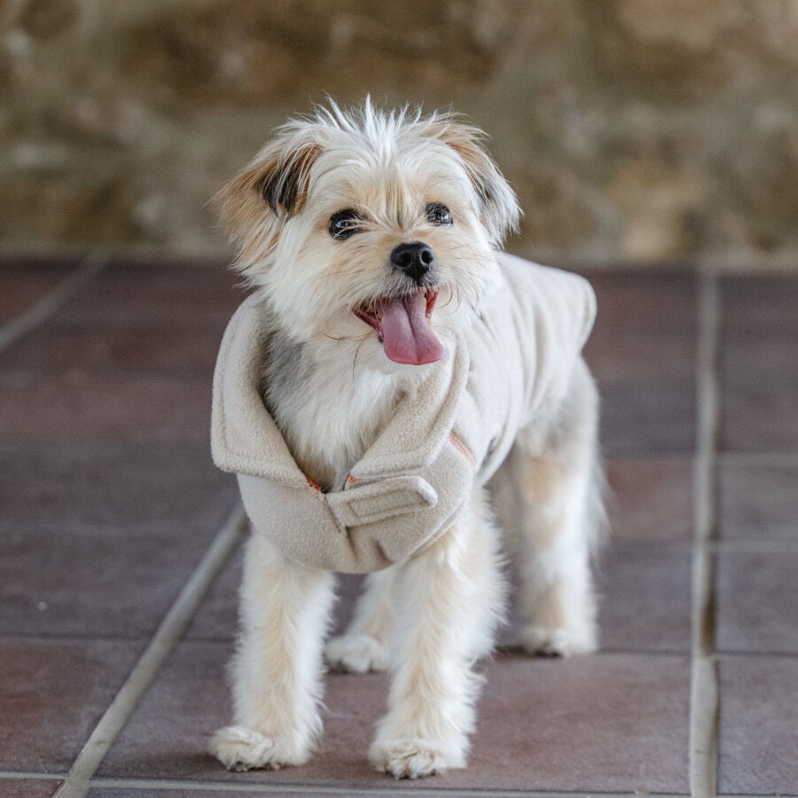 Freedog Polar Snowpuff Beige para perros, , large indicador imagen numero 5