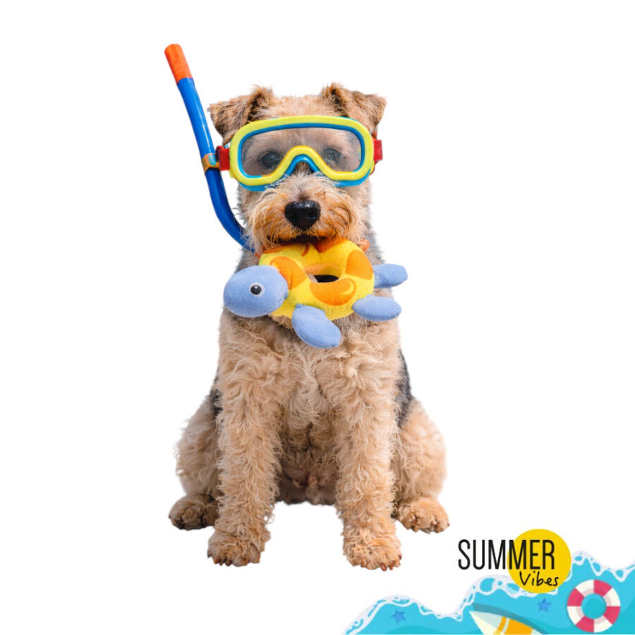 Summer Vibes Peluche Flotante Tortuga Juguete para perros, , large indicador imagen numero 7
