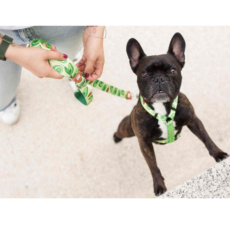 Dukier Arn&eacute;s Cl&aacute;sico Estampado Aguacate para perros, , large Imagen numero 3