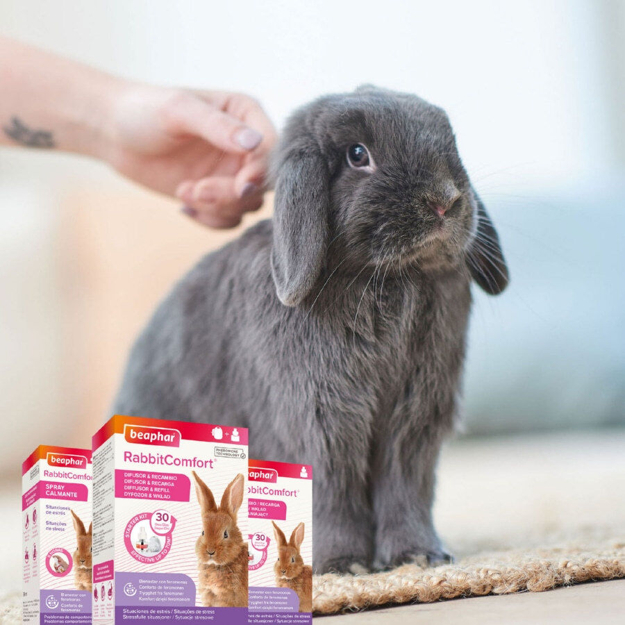 Beaphar RabbitComfort Spray Tranquilizante para conejos, , large indicador imagen numero 7