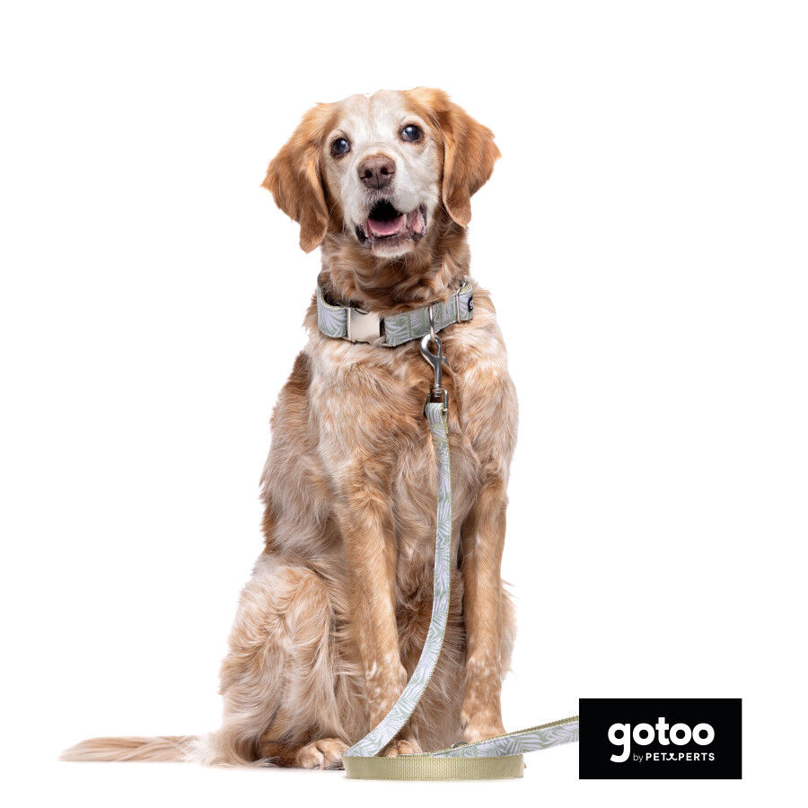 Collar estampado de hojas para perros, , large indicador imagen numero 4