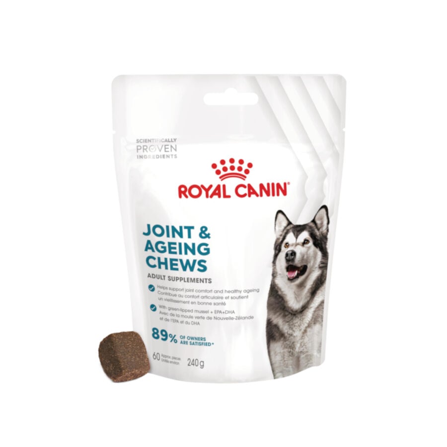 240 g Royal Canin Joint & Ageing Chews Suplemento Nutricional para perros senior, , large Imagen numero 1