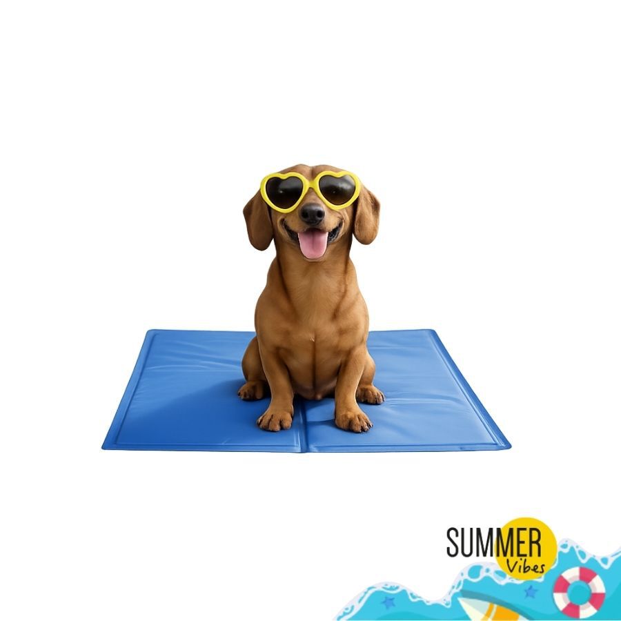 Summer Vibes Manta Refrescante Azul para perros, , large indicador imagen numero 6