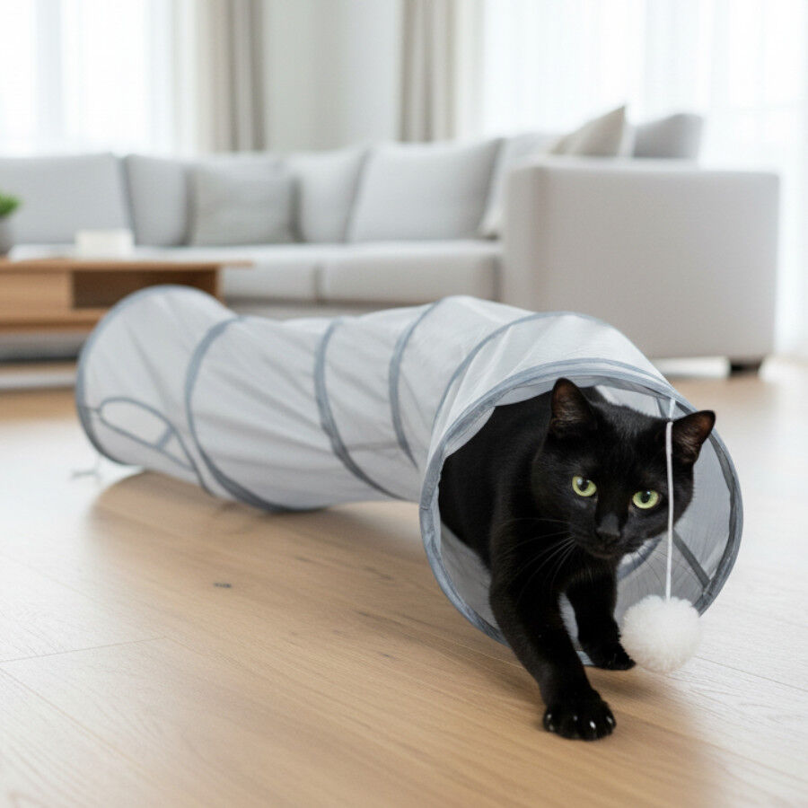 Tootoy! Tunel de Tela con Juguete para gatos, , large indicador imagen numero 1