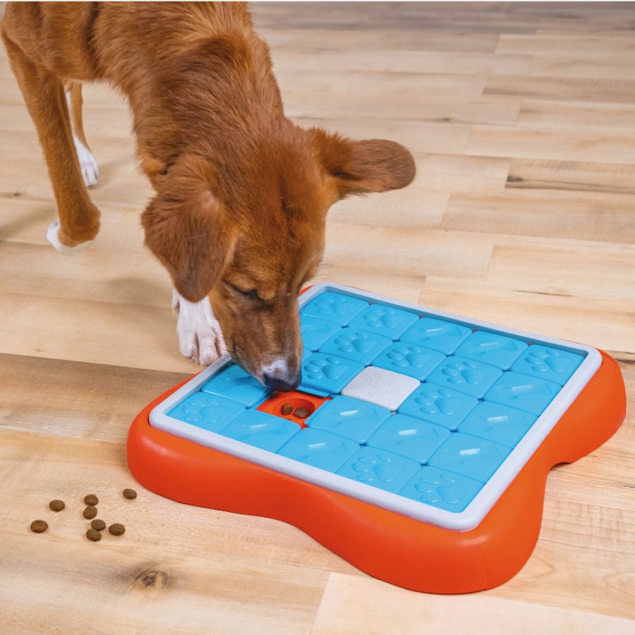 Outward Hound Challenge Slider Rompecabezas de Inteligencia para cachorros, , large Imagen numero 2
