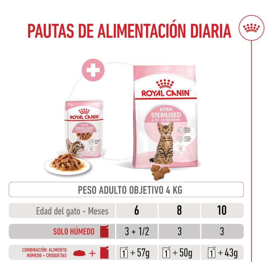 85 g Royal Canin Kitten Sterilised salsa sobre para gatos, , large Imagen numero 8