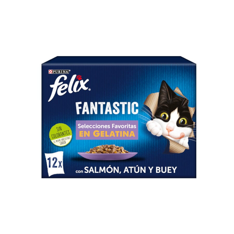 12 sobres x 85 g Felix Fantastic Selecciones Favoritas sobres en gelatina , , large indicador imagen numero 1