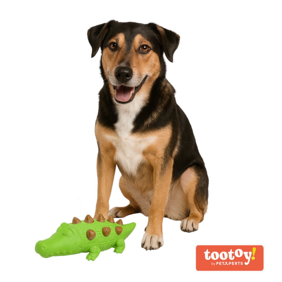Tootoy! Chew Croco Treat mordedor portasnacks para perros, , large indicador imagen numero 2