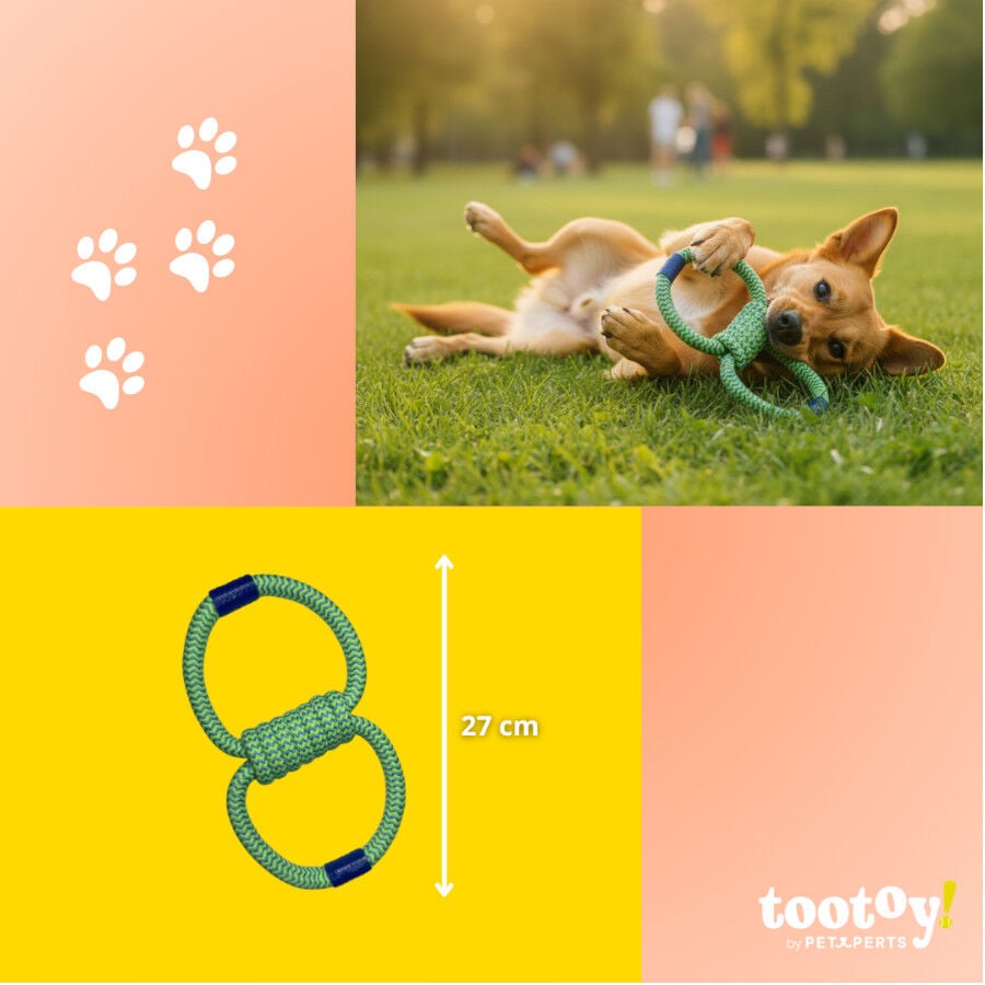 Tootoy! Mordedor de Cuerda Doble para perros, , large Imagen numero 4