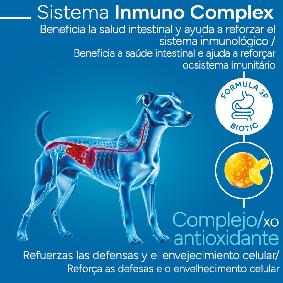 3 kg Criadores Cient&iacute;fico Senior Pienso para perros de razas mini, , large indicador imagen numero 3