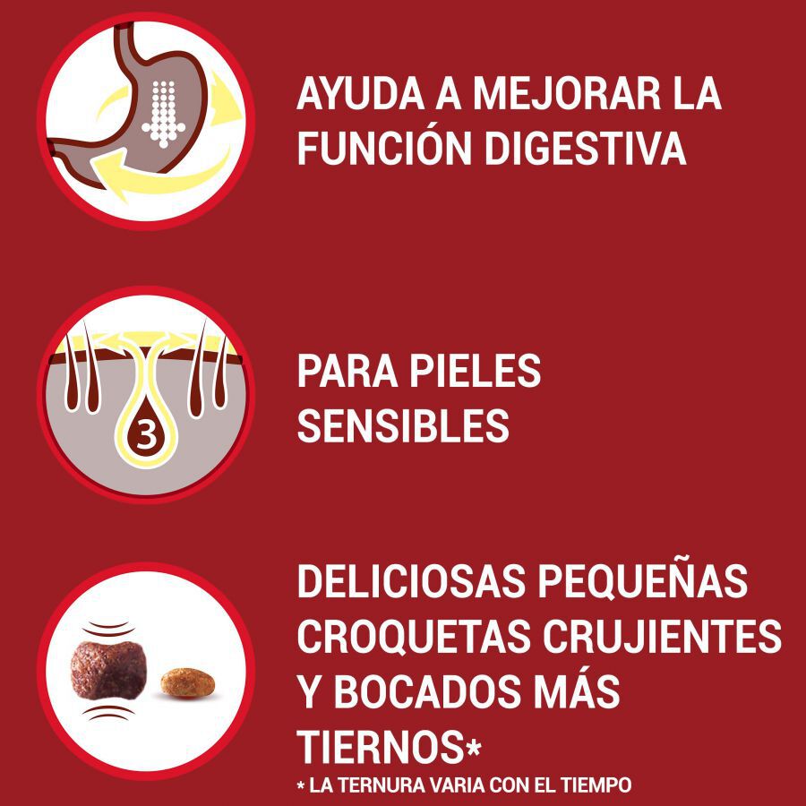 1.5 kg Purina One Adult Mini Bifensis Sensitive Salm&oacute;n y Arroz pienso para perros, , large Imagen numero 4