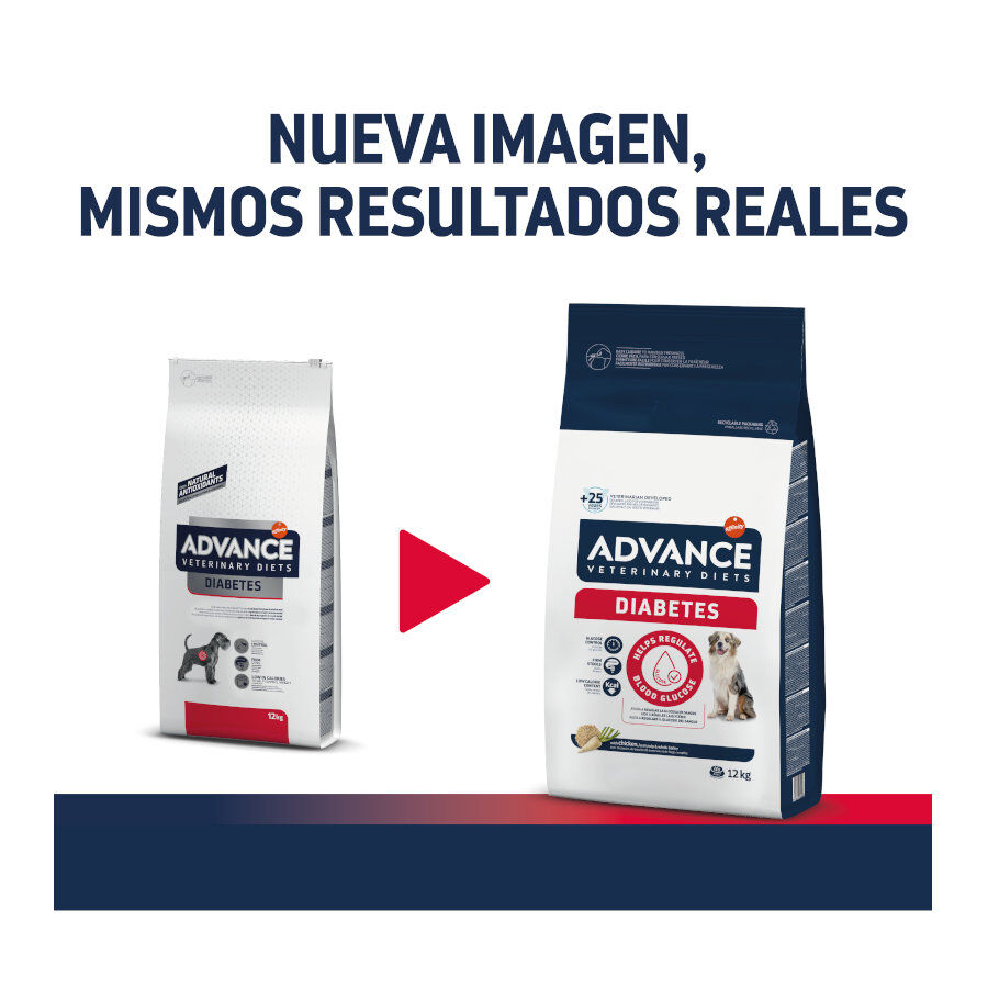 12 kg Advance Veterinary Diets Diabetes pienso para perros, , large Imagen numero 2