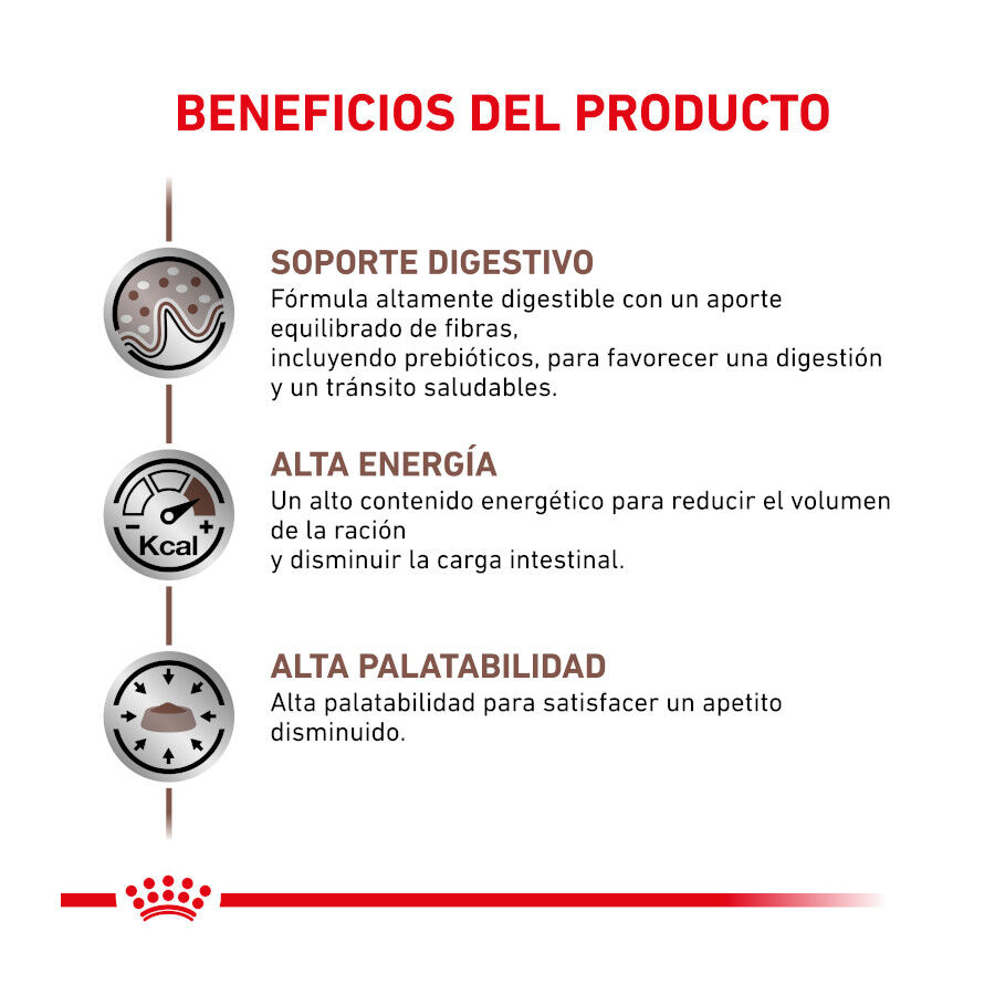 4 kg Royal Canin Veterinary Gastrointestinal pienso para gatos, , large indicador imagen numero 4