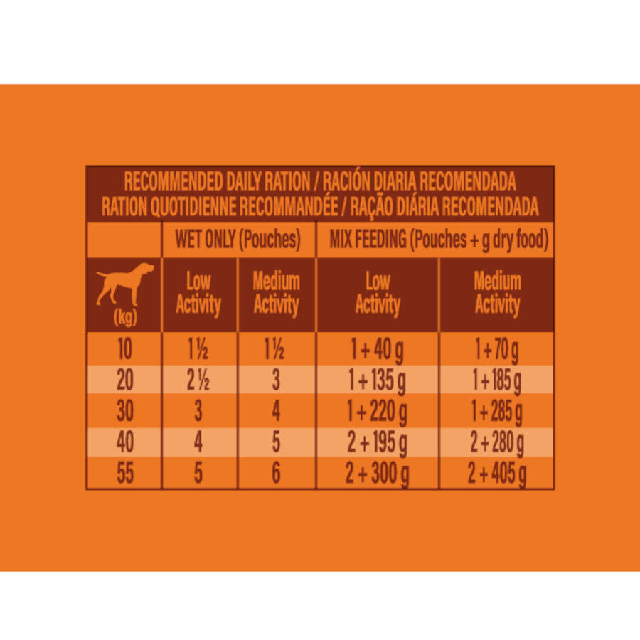 300 g Nature's Variety Medium/Maxi Adult buey sobre para perros, , large indicador imagen numero 4