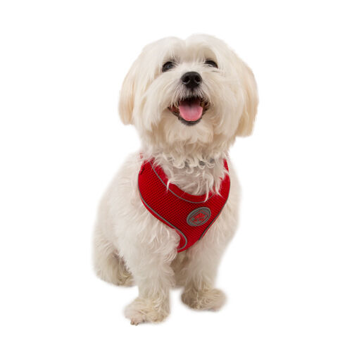 TK-Pet Soft Arn&eacute;s Reflectante Rojo para perros  