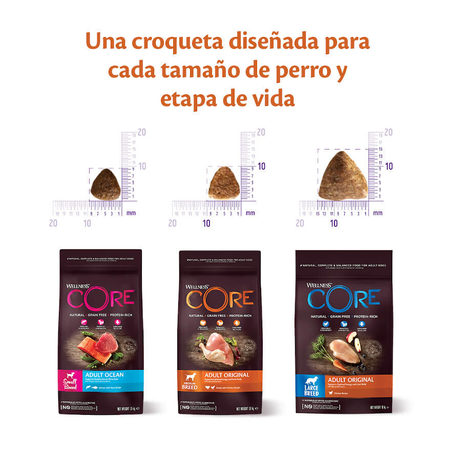 10 kg Wellness Core Adult Large Original Pollo pienso para perros, , large Imagen numero 3