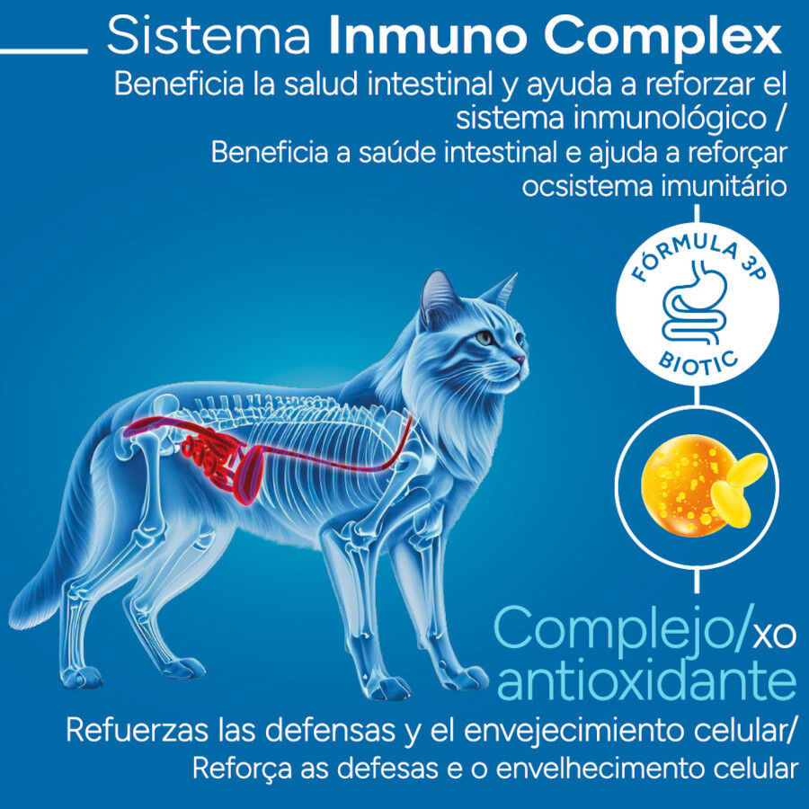 2 kg Criadores Cient&iacute;fico Senior +12 Pescado pienso para gatos, , large indicador imagen numero 3