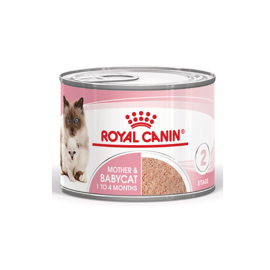 195 g Royal Canin Mother & Baby mousse latas para gatos, , large Imagen numero 2