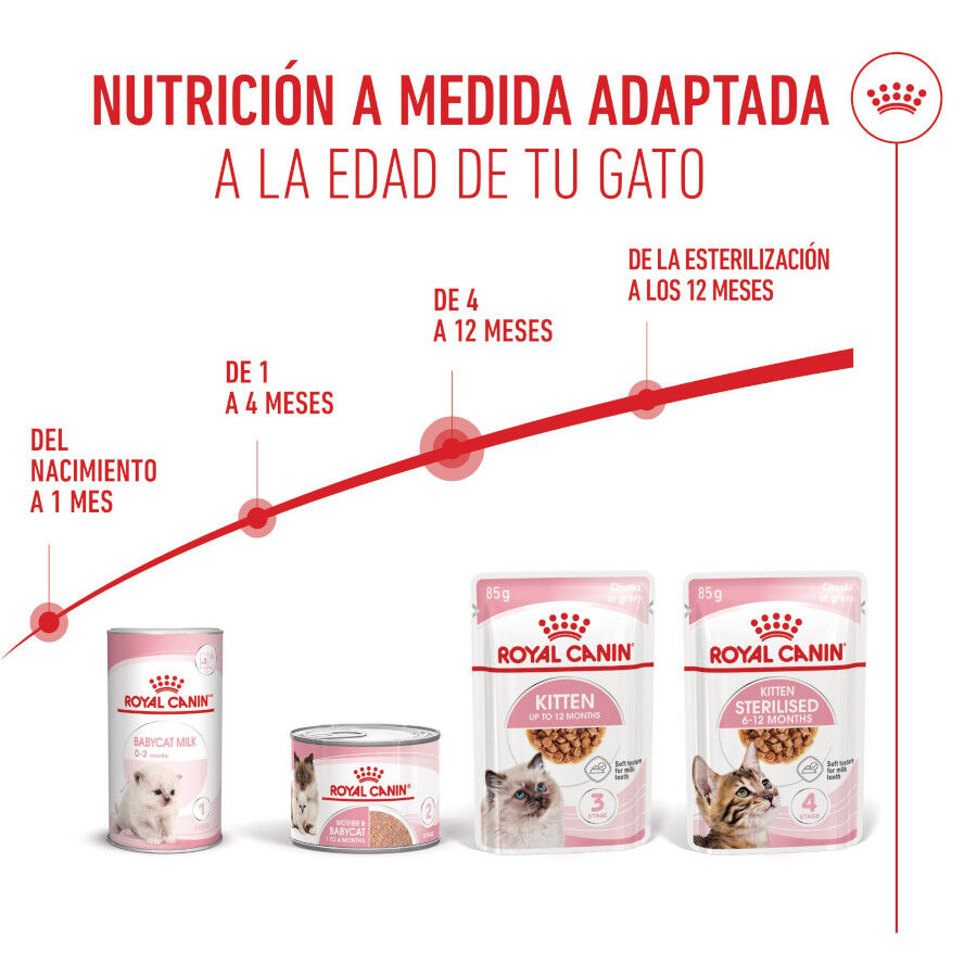 85 g Royal Canin Kitten sobre en salsa para gatos, , large indicador imagen numero 6