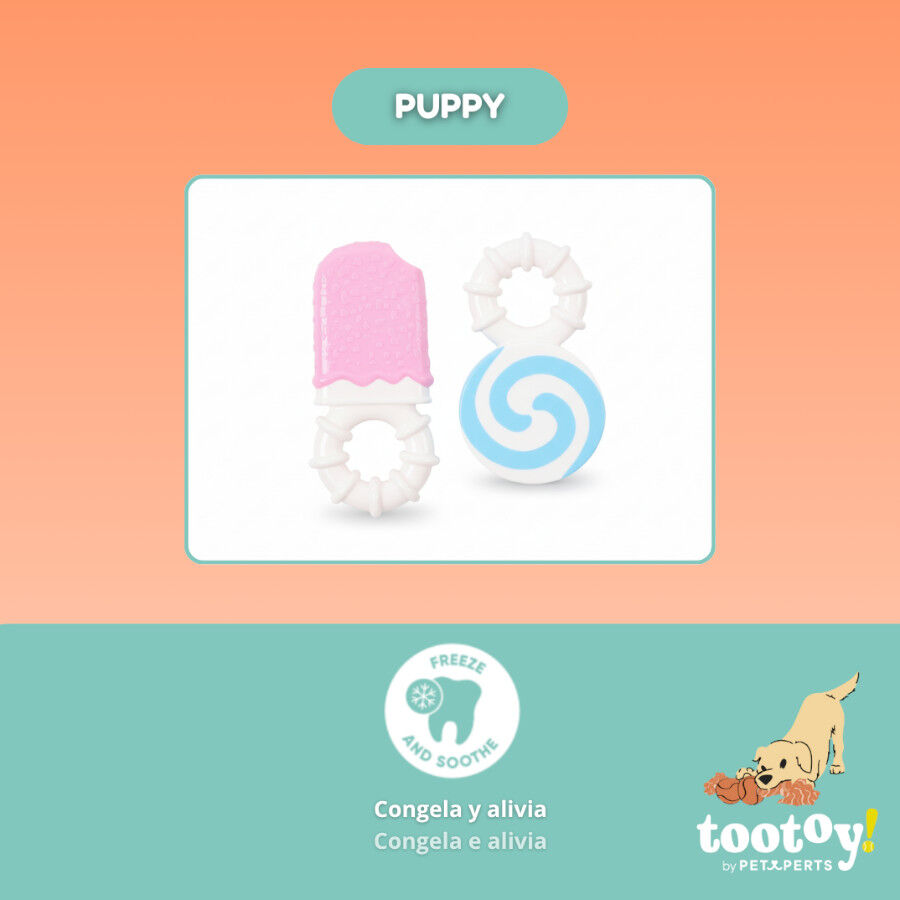 Tootoy! Pack de Mordedores Frios para cachorros, , large indicador imagen numero 5