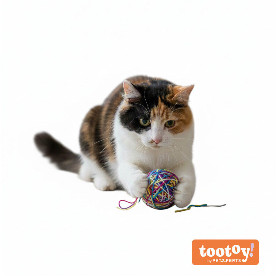 Tootoy! Ovillo de Lana Colorido para gatos, , large indicador imagen numero 9