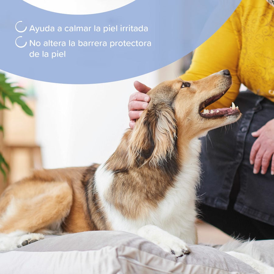 Beaphar Champ&uacute; Calmante para perros y gatos, , large Imagen numero 4