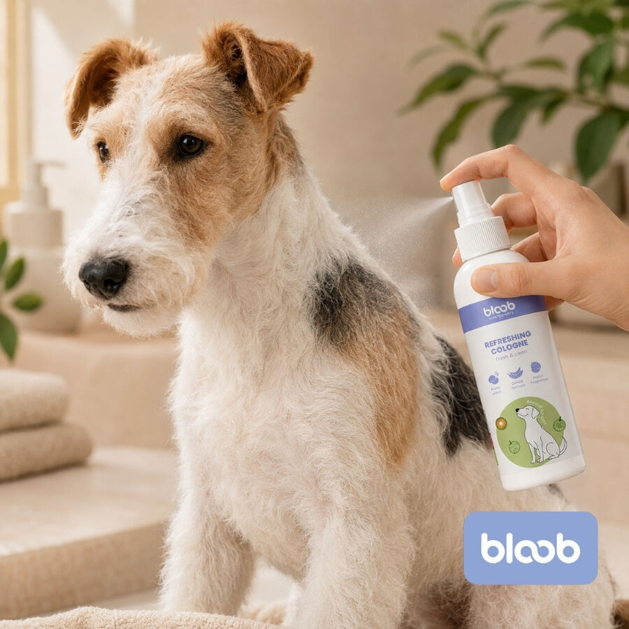 Bloob Colonia Refrescante Mel&oacute;n para perros, , large Imagen numero 2