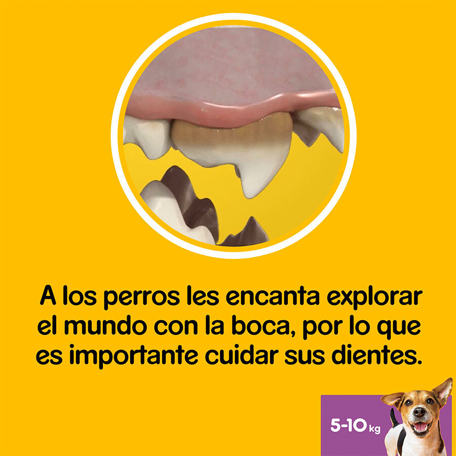105 barritas Pedigree Dentastix Snacks Dentales para perros peque&ntilde;os, , large indicador imagen numero 5