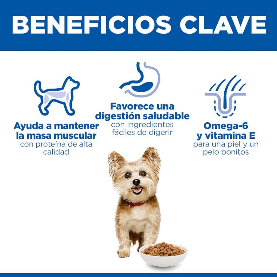 10 kg Hill's Science Plan Adult Small y Mini Pollo pienso para perros, , large indicador imagen numero 5
