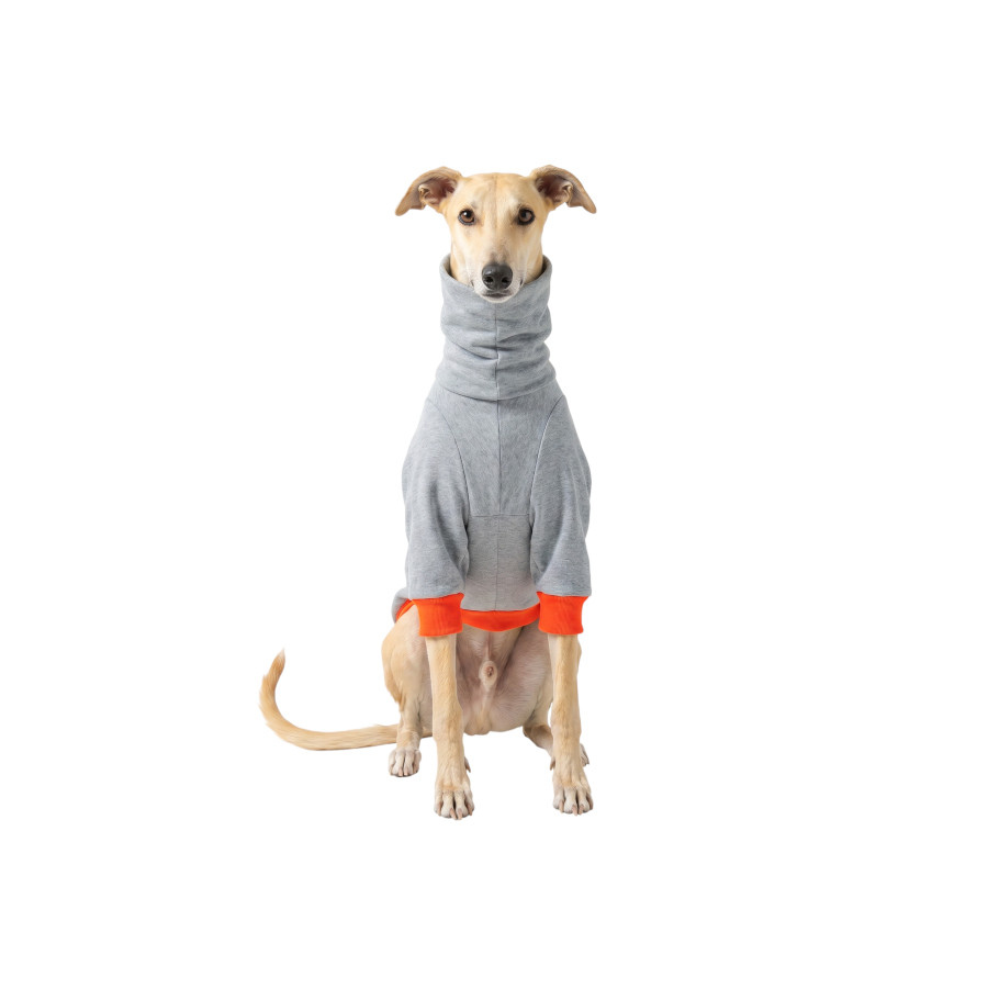 Gotoo Sudadera Gris para galgos, , large indicador imagen numero 7