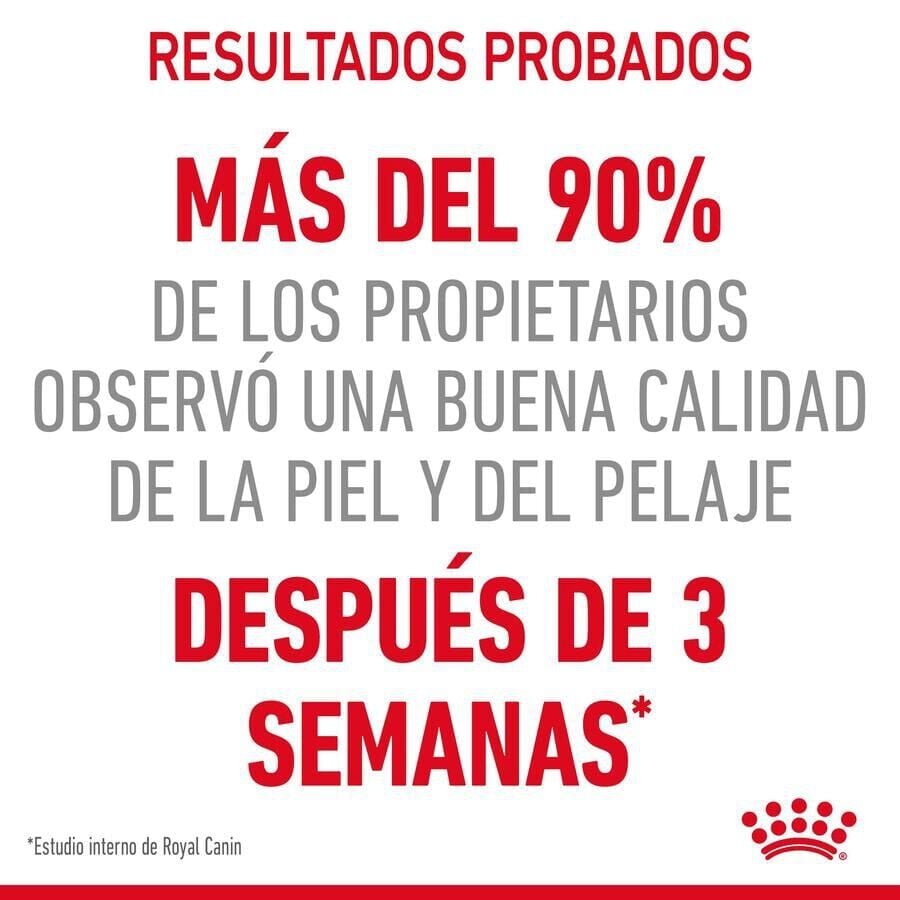 85 g Royal Canin Intense Beauty gelatina sobre para gatos, , large indicador imagen numero 4