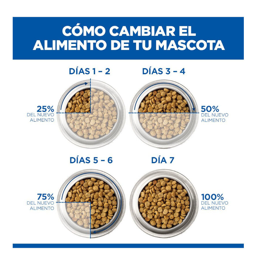 10 kg Hill's Science Plan Adult Pienso Salm&oacute;n para gatos, , large indicador imagen numero 12