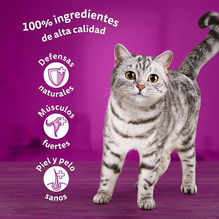 24 sobres x 85 g Whiskas Selecci&oacute;n Pescados Gelatina en Bolsita para gatos, , large Imagen numero 6