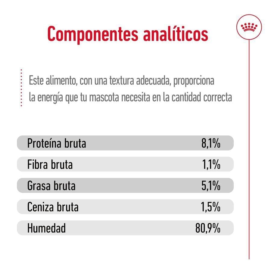 140 g Royal Canin Maxi Ageing sobre en salsa para perros&nbsp;senior, , large indicador imagen numero 6