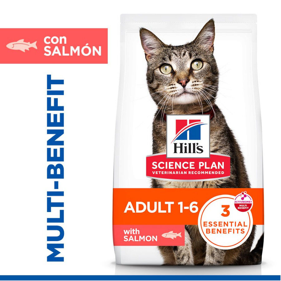 10 kg Hill's Science Plan Adult Pienso Salm&oacute;n para gatos, , large indicador imagen numero 2