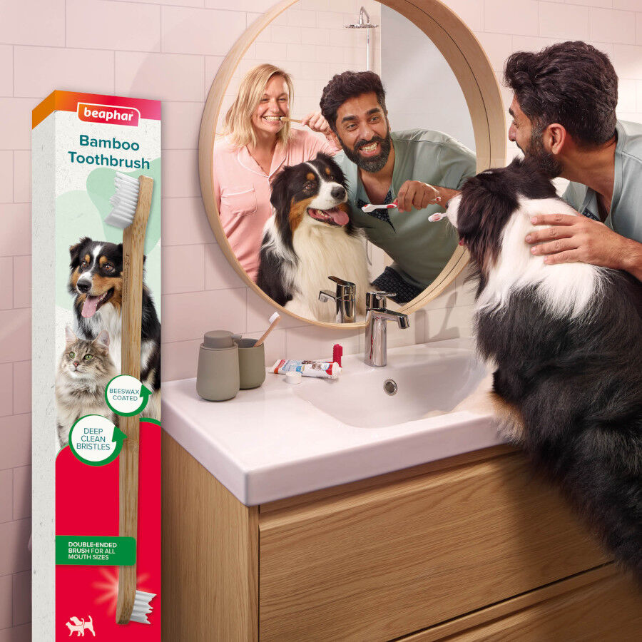Beaphar Cepillo Dental de Bamb&uacute; para Perros y Gatos, , large indicador imagen numero 5