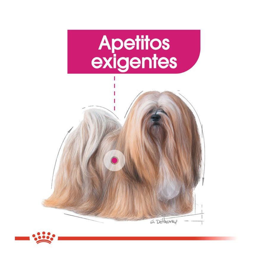3 kg Royal Canin Exigent Mini pienso para perros, , large indicador imagen numero 5