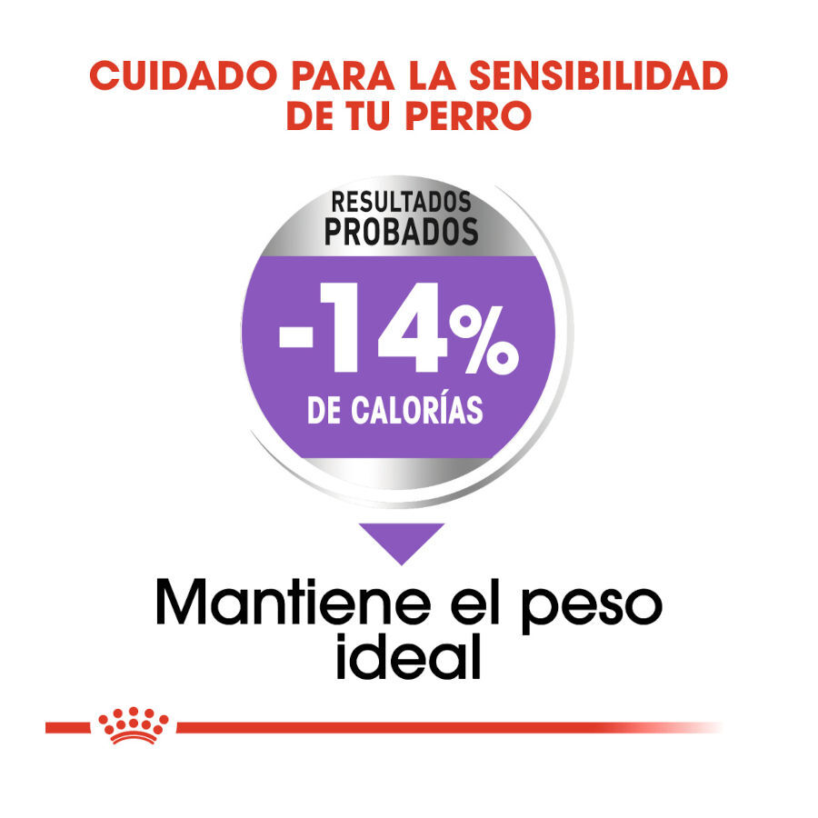 8 kg Royal Canin Sterilised Mini pienso para perros, , large indicador imagen numero 6