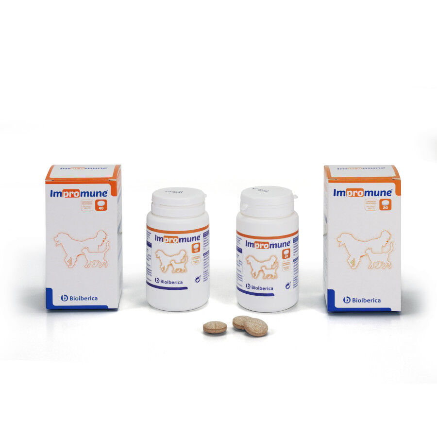 Bioiberica Impromune Suplemento Alimenticio para perros y gatos