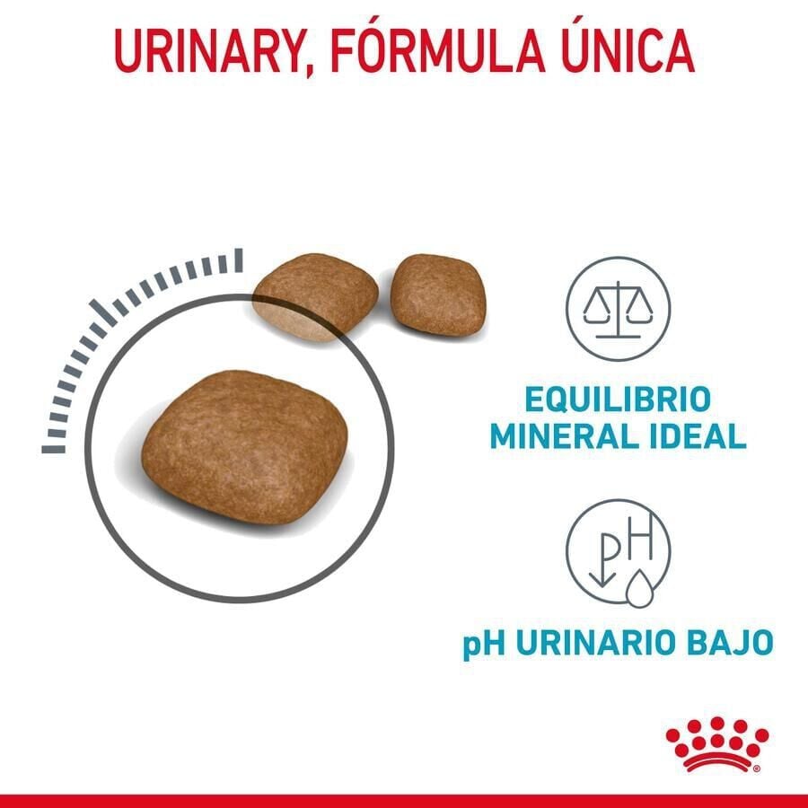 10 kg Royal Canin Urinary pienso para gatos, , large Imagen numero 7